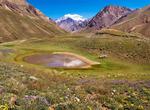 Explore Aconcagua Provincial Park, Argentina