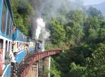 Ride Nilgiri Mountain Railway, India (UNESCO site)
