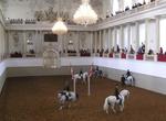 Visit Spanish Riding School, Vienna, Austria