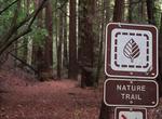 Hike Nature Trail at Pfeiffer Big Sur State Park, Big Sur, California
