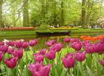See Garden of Europe (Keukenhof), Lisse, Netherlands