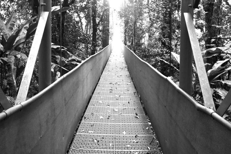Canopy Walkways at Arenal Hanging Bridges