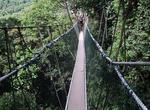 Walk Canopy Walkways at  Taman Negara National Park, Malaysia