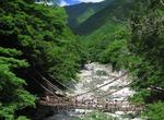 Walk across Iya Valley Vine Bridges, Japan