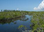 Explore Lucayan National Park, Bahamas
