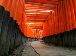 See Fushimi Inari-Taisha Shrine, Fushimi-ku, Kyoto, Japan