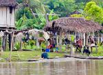 Explore Sepik River, Papua New Guinea