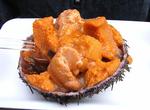Eat Sea Urchin