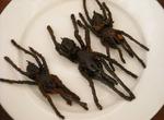 Eat Fried Spider