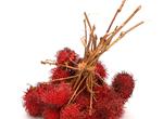 Eat Rambutan