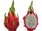 Eat Pitaya (Dragon Fruit)