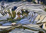 Visit Yuanyang Rice Terraces (Honghe Hani Rice Terraces), China (UNESCO Site)