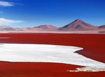 Explore Laguna Colorada (Red Lagoon), Bolivia