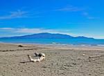 Explore Kapiti Island Nature Reserve, New Zealand