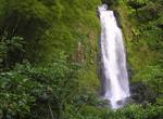 See Trafalgar Falls, Dominica