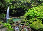 Visit Emerald Pool Falls, Dominica