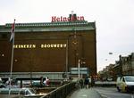 Drink Beer at Heineken Brewery, Amsterdam
