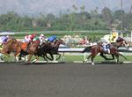Attend Races at Santa Anita Ractrack, California