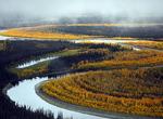 Birding at Koyukuk National Wildlife Refuge, Alaska