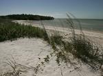 Explore Ten Thousand Islands National Wildlife Refuge, Florida