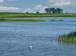 Birding at Chase Lake National Wildlife Refuge, North Dakota