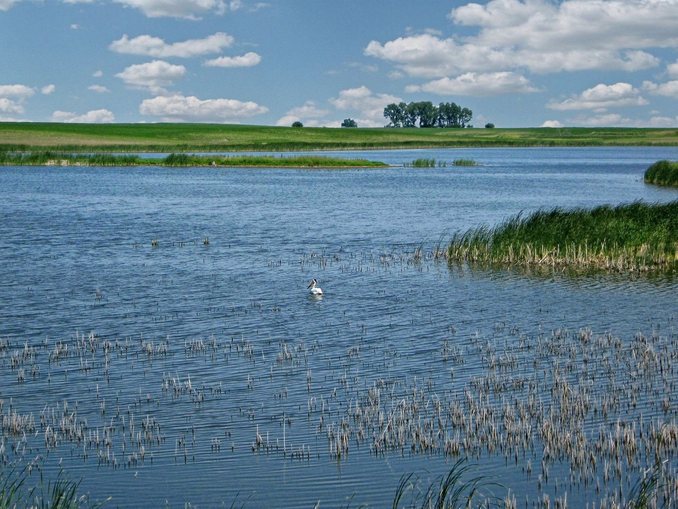 Chase Lake National Wildlife Refuge