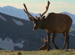 Camp at Moraine Park Campground, Rocky Mountain National Park, Colorado