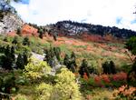 Camp at Tanner’s Flat Campground in Little Cottonwood Canyon, Utah