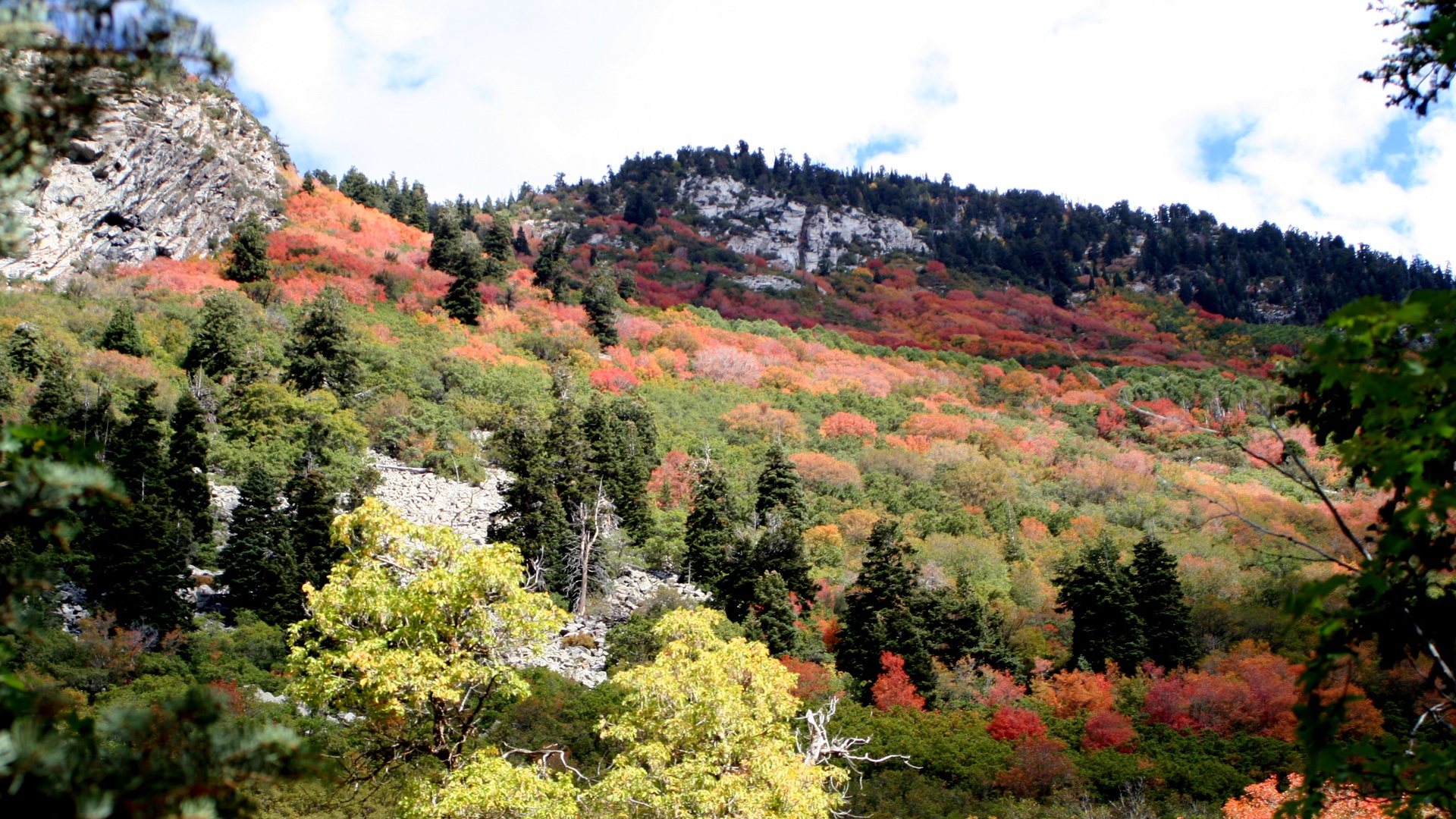 Tanner’s Flat Campground in Little Cottonwood Canyon