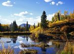 Camp at Rosy Lane Campground, Gunnison National Forest, Colorado