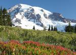 Camp at White River Campground, Mount Rainier National Park, Washington
