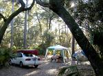 Camp in Hunting Island State Park, South Carolina