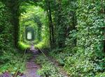 Walk in The Tunnel of Love, Klevan, Ukraine
