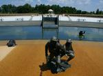 Visit National D-Day Memorial, Bedford, Virginia