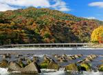 Walk across Togetsukyō Bridge, Arashiyama, Japan