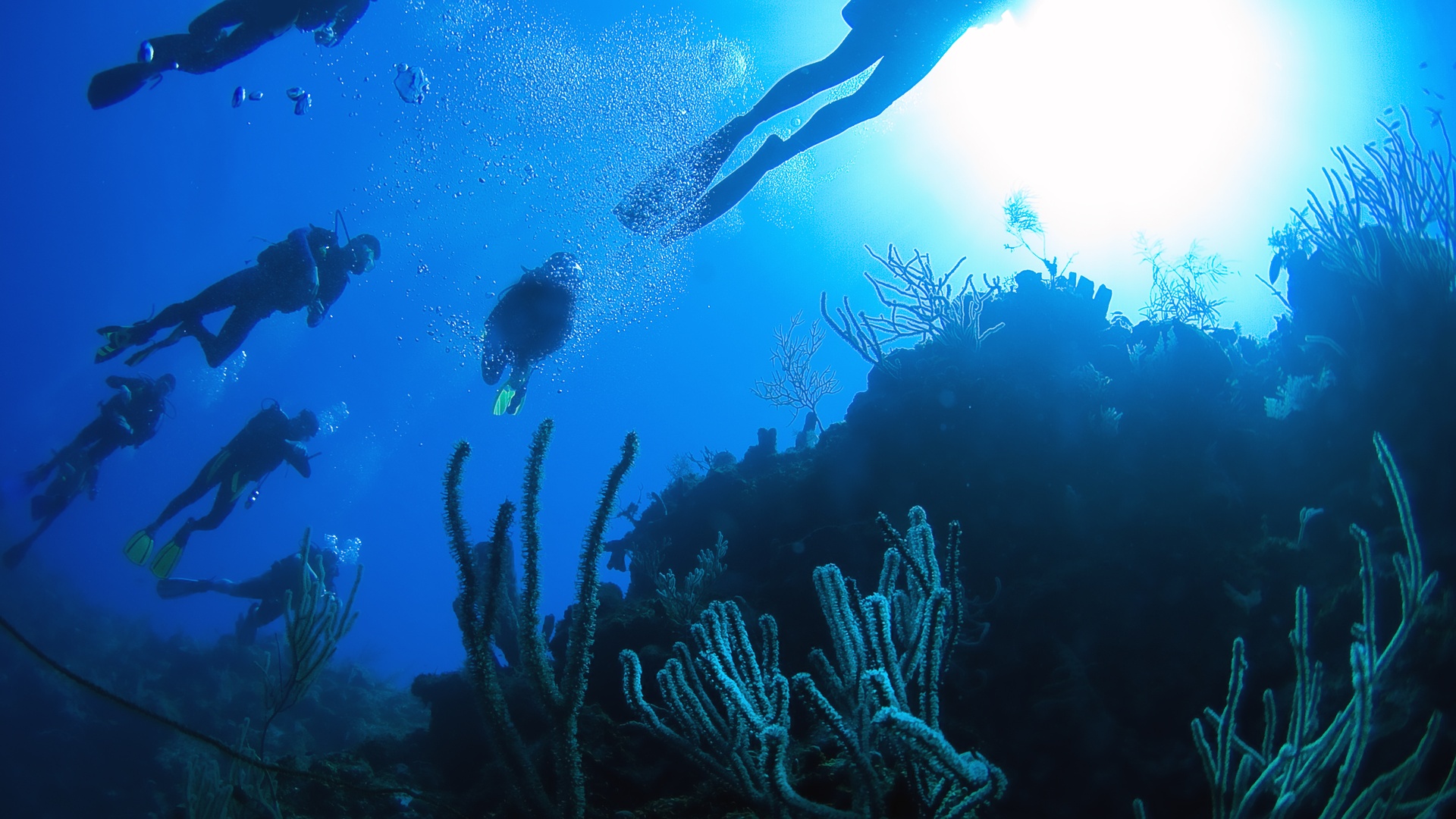 Providenciales Island