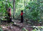 Explore Sacred Mijikenda Kaya Forests, Kenya (UNESCO site)