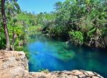 Swim in Cenote Escondido, Yucatán, Mexico