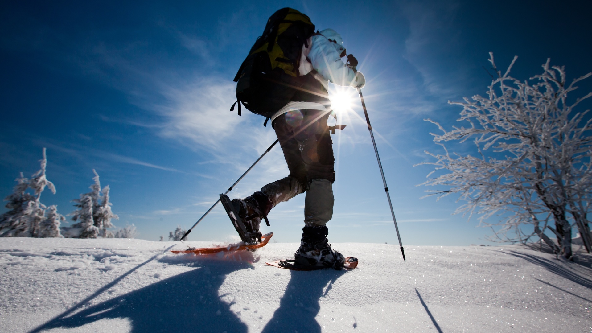 Snowshoeing