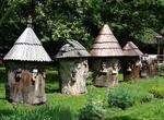 Visit Lithuanian Museum of Ancient Beekeeping, Lithuania
