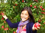 Go Apple Picking