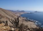 Explore Pan de Azúcar National Park, Chile