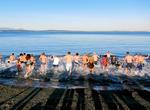 Take a "Polar Bear Plunge" on New Years Day