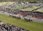 Attend Races at Champ de Mars Racecourse, Port Louis, Mauritius
