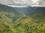 Explore Black River Gorges National Park, Mauritius