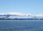 See Brüggen Glacier, Bernardo O'Higgins National Park, Chile