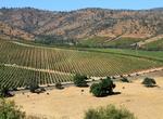 Wine Tasting in Casablanca Valley, Chile