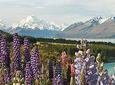 5-Day South Island Tour from Christchurch