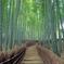Kyoto Sagano Bamboo Grove & Arashiyama Walking Tour (No Yakatabune Lunch Cruise)