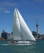 Auckland Harbour Sailboat Cruise Including Three Course Dinner